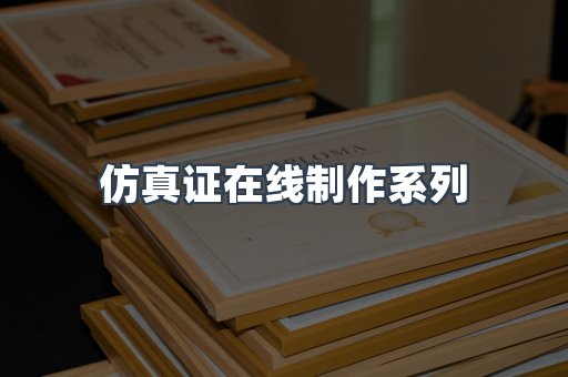 仿真证在线制作